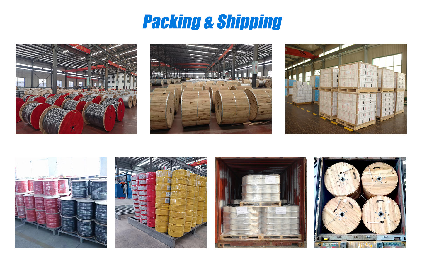 Ippakkjar & Shipping